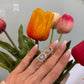 Anello Marci